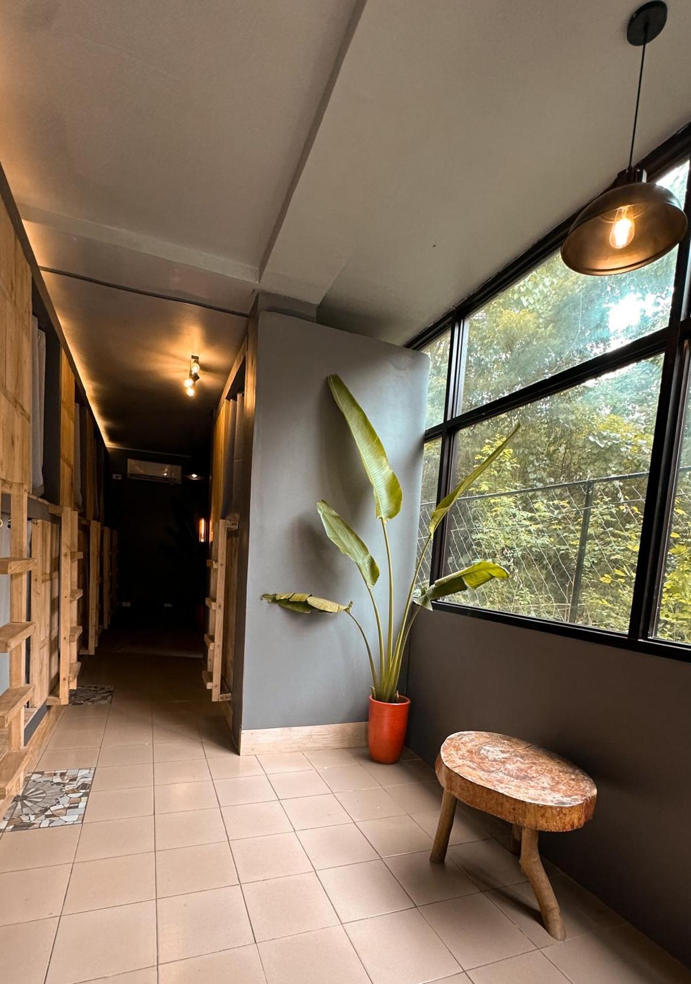 Resting Rabbit Hostel Сикихор Экстерьер фото
